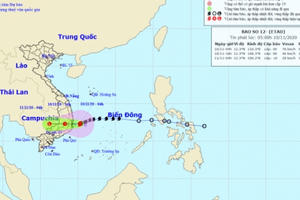 Bão số 12 gây mưa to, gió giật cấp 12 tại các tỉnh miền Trung