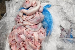 Thu giữ 4 tạ lòng lợn bốc mùi hôi thối tại Bắc Ninh