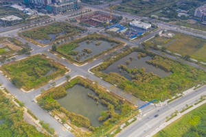 Thấy gì từ vụ đấu giá 4 lô đất vàng ở Thủ Thiêm?