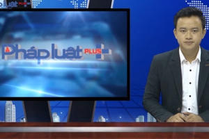 Bản tin Pháp luật Plus 21/11/2016: Khởi tố Trưởng công an xã giết cô giáo mầm non