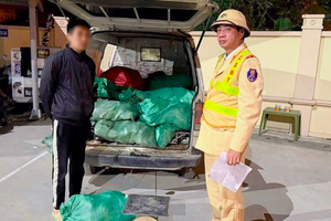 Phát hiện, thu giữ hơn 800kg chân gà bốc mùi chuẩn bị tung ra thị trường ngày đầu năm