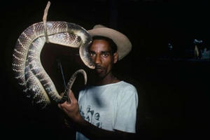 Bí ẩn tuyệt kỹ tay không bắt rắn cực độc