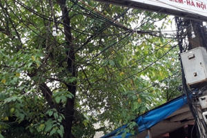 Hàng trăm hộ dân kêu cứu vì không có điện: Bí thư thành ủy Hà Nội chỉ đạo giải quyết