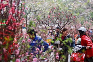 Chính thức chốt phương án nghỉ Tết Mậu Tuất 7 ngày