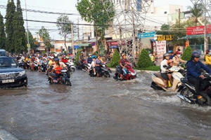 Thủ phủ miền Tây chìm trong nước do triều cường dâng cao