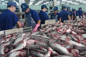 Audio Tài chính Plus: Kim ngạch xuất khẩu gạo và cá tra tăng cả lượng lẫn giá trị