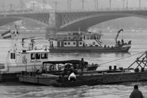 Chuyến du lịch định mệnh trên con tàu “Nàng tiên cá”