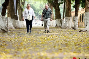 Hà Nội đẹp nao lòng mùa lá rụng Hà Nội đẹp nao lòng mùa lá rụng
