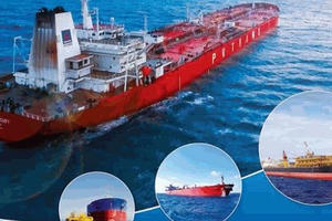 PVTrans tiết lộ về khoản tiền 3,5 tỷ đồng 'bỏ quên' trong két sắt