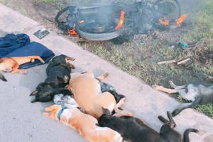 Trộm chó bất thành, đối tượng bị trai làng đánh tử vong