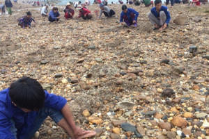 Phú Thọ: Hàng trăm người chen chúc đào bới tìm đá quý trên sông Chảy