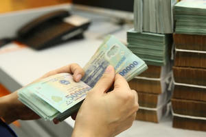 Chính phủ quy định chi tiết và hướng dẫn thi hành một số điều của Luật Ngân sách nhà nước