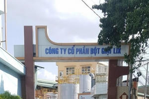 Bột Giặt LIX lợi nhuận quay đầu giảm trong quý III/2020