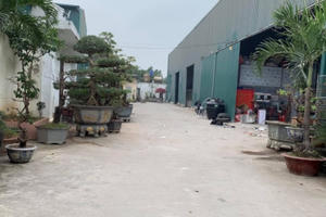 Tồn tại hàng nghìn m2 nhà xưởng không phép, Chủ tịch phường Tây Tựu đang "đợi hướng dẫn" xử lý