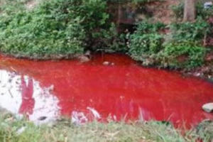 Thanh Hóa: Phát hiện nước xả thải doanh nghiệp đỏ như máu