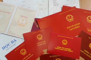 Dùng bằng giả, nữ Chủ tịch UBND xã bị cách chức Dùng bằng giả, nữ Chủ tịch UBND xã bị cách chức