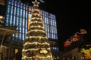 Chùm ảnh - Hà Nội rực rỡ trước đêm Giáng sinh