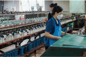 Tơ tằm Á Châu bị xử phạt do vi phạm chứng khoán