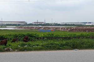 Tự ý san lấp mặt bằng, Công ty Hưng Tài Phát bị xử phạt 90 triệu đồng