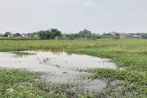 Viết tiếp bài “Nỗi oan của Hải Phòng”: 88 ha đất ruộng vùng xa bị "thổi phồng" thành “đất vàng”