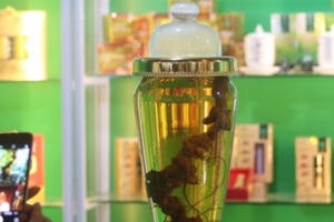 Festival Quảng Nam: Bình rượu Sâm Ngọc Linh 10 năm tuổi có giá 200 triệu đồng!