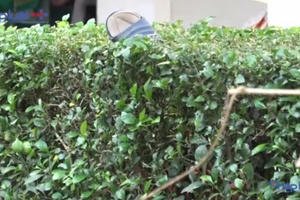 Bé trai tử vong do ngã từ độ cao 2m tại Bệnh viện đa khoa Bình Dương