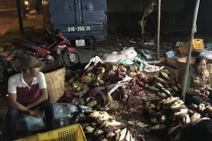 Hàng trăm kg bắp chuối bào ngâm trong hóa chất độc hại