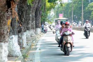 Dự báo thời tiết ngày 10/12: Bắc Bộ ngày nắng, đêm có mưa vài nơi