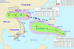Phó Thủ tướng Chính phủ chỉ đạo các tỉnh, TP tập trung, chủ động ứng phó khẩn cấp báo sỗ 7
