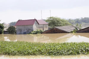 Hà Nội: Vỡ đê sông Bùi, nhiều khu dân cư bị cô lập trong biển nước