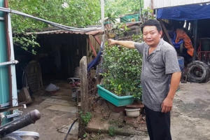 Vụ một hộ dân bị “dồn vào chân tường” vì mua đất bằng giấy tay: Cần xem xét áp dụng thời hiệu khởi kiện theo yêu cầu của bị đơn?