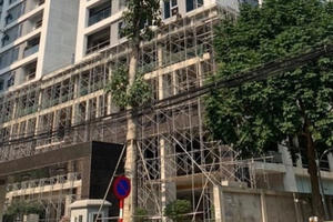 Tiềm lực của An Thịnh Group - “tay chơi" mới nổi trên thị trường bất động sản ven đô