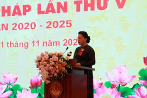 Pháp luật phải thực sự trở thành chuẩn mực ứng xử trong cơ quan nhà nước, xã hội và người dân