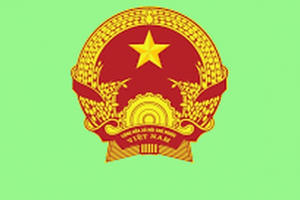 Những loại giấy tờ cần phải có khi điều khiển phương tiện ra đường