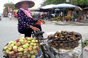 Cẩn trọng với táo Trung Quốc đội lốt táo Quản Bạ - Hà Giang