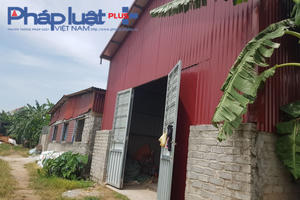 Huyện Phú Xuyên xử lý vi phạm trên đất nông nghiệp kiểu "cầm lưỡi dao" Huyện Phú Xuyên xử lý vi phạm trên đất nông nghiệp kiểu "cầm lưỡi dao"