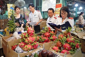TP HCM: Tiến hành 236 cuộc thanh tra hành chính, chuyển cơ quan điều tra 12 vụ việc