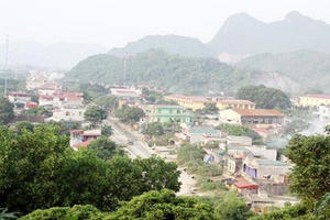 Người mẹ nghèo vượt lên hoàn cảnh, nuôi đàn con ăn học