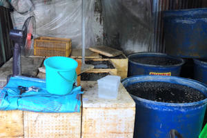 TP HCM: Phát hiện 2 cơ sở ngâm thịt ốc bươu với hóa chất công nghiệp