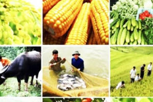 Quốc hội thông qua Luật Trồng trọt và Luật Chăn nuôi