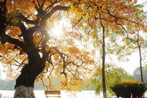 Dự báo thời tiết ngày 12/11: Bắc bộ nhiệt độ tăng dần, Hà Nội trưa và chiều hửng nắng