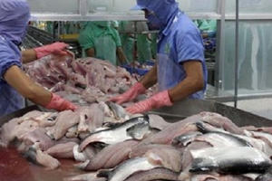 Đầu tư vào thực phẩm sạch: Có yếu tố “ngoại” càng tốt!