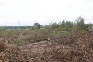 Đồng Nai: Phó Thủ tướng chỉ đạo bồi thường cho dân vụ thu hồi 16ha đất rừng