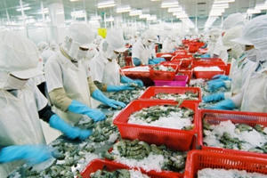 Hỗ trợ Doanh nghiệp tuân thủ quy định trong xuất khẩu thủy sản Hỗ trợ Doanh nghiệp tuân thủ quy định trong xuất khẩu thủy sản