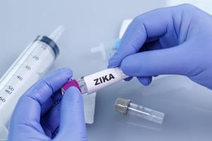 TP HCM: Tiếp tục ghi nhận 6 ca nhiễm Zika trong hai ngày