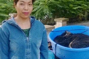 Bắt gần 1 tạ nội tạng trâu bò hôi thối vận chuyển về Thanh Hóa làm đồ nhậu