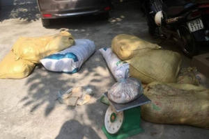 Hà Nội: Phát hiện xe khách chở hơn nửa tấn thịt động vật bốc mùi hôi thối