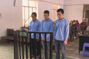 Đắk Lắk: Tuyên án kẻ dùng kìm thủy lực cắt khóa trộm 1,8 tỷ đồng