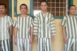 Khởi tố 5 đối tượng làm giả giấy tờ, thuê xe ô tô mang đi cầm cố