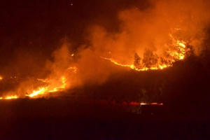 Cháy gần 100 ha rừng, hơn 2.000 người trắng đêm dập lửa